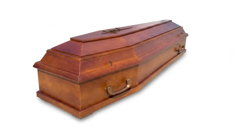 Zdjęcie 20