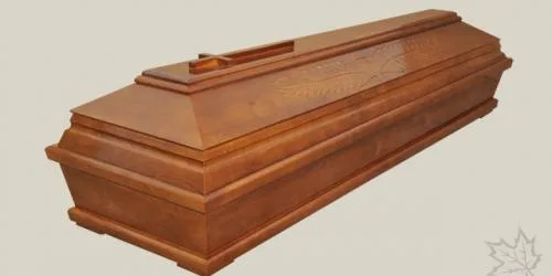 Zdjęcie 24
