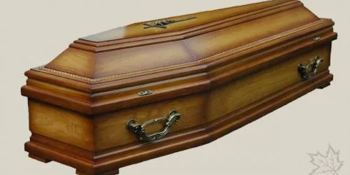 Zdjęcie 38