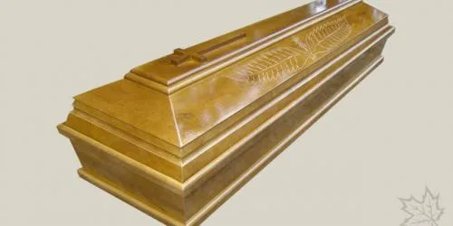 Zdjęcie 12