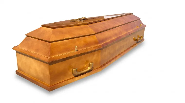 Zdjęcie 47