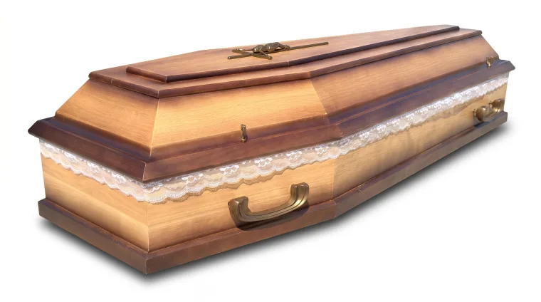 Zdjęcie 48