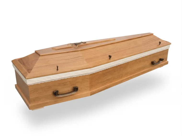 Zdjęcie 50