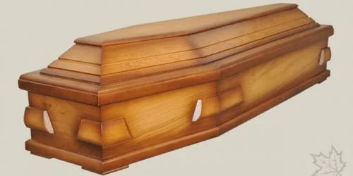 Zdjęcie 55