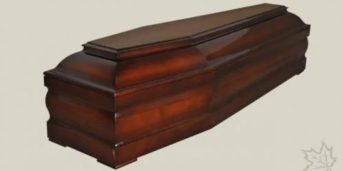 Zdjęcie 14
